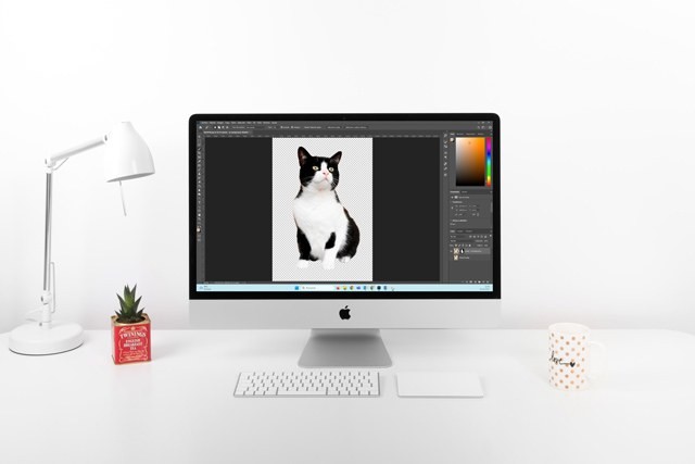 quitar-borrar-eliminar-fondo-imagen