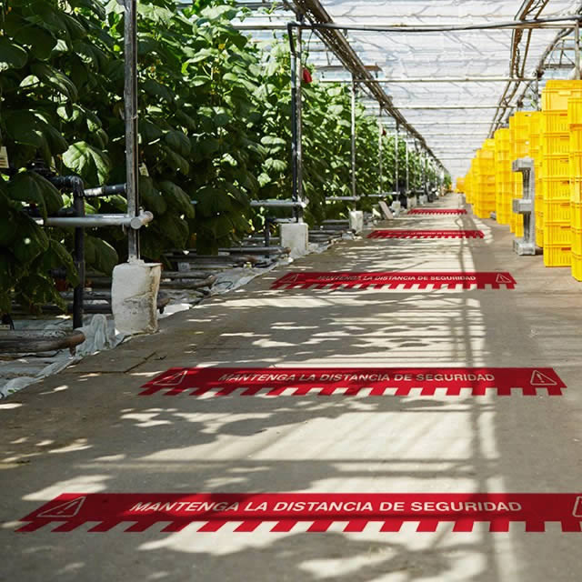 Adhesivos suelo distancia seguridad