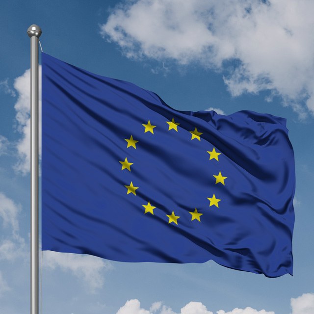 Mastil para banderas con driza