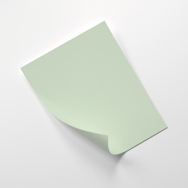 COLOR 2ª HOJA - Verde