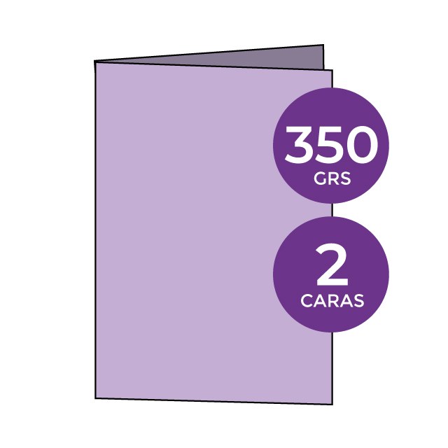 CARACTERISTICAS FOLLETO - Díptico A3 350 grs DOS caras