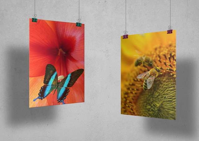 imprimir-poster-con-fotografias