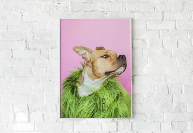 impresion-posters-con-fotos