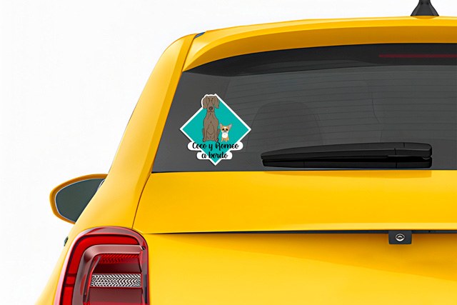 vinilo-adhesivo-para-coches