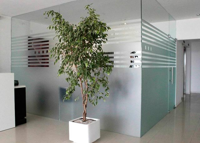 comprar-vinilo-glass