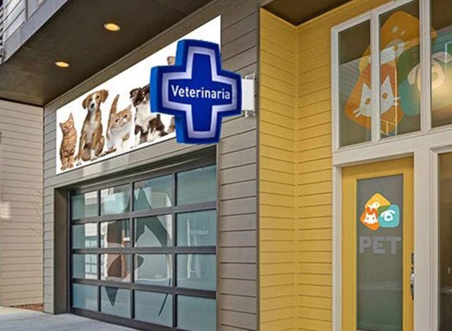 banderola-luminosa-veterinaria