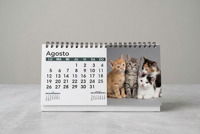 calendario fotográfico